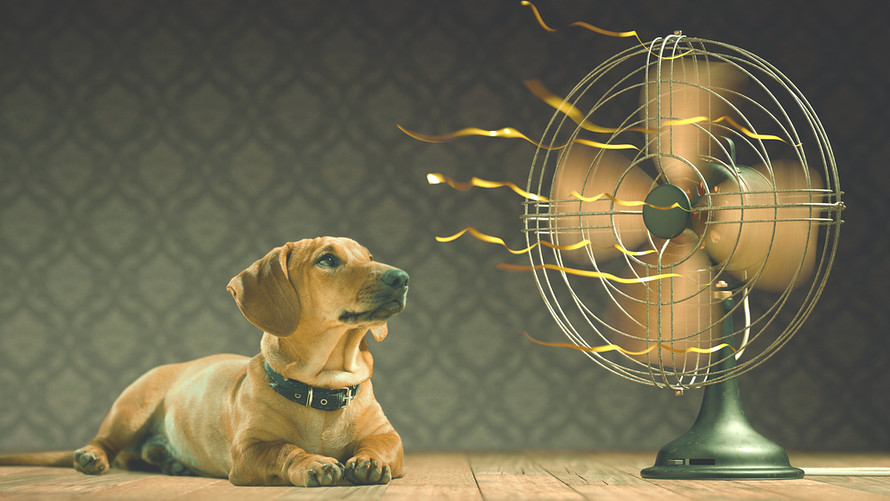 How To Stay Cool Without Using An Airconditioner