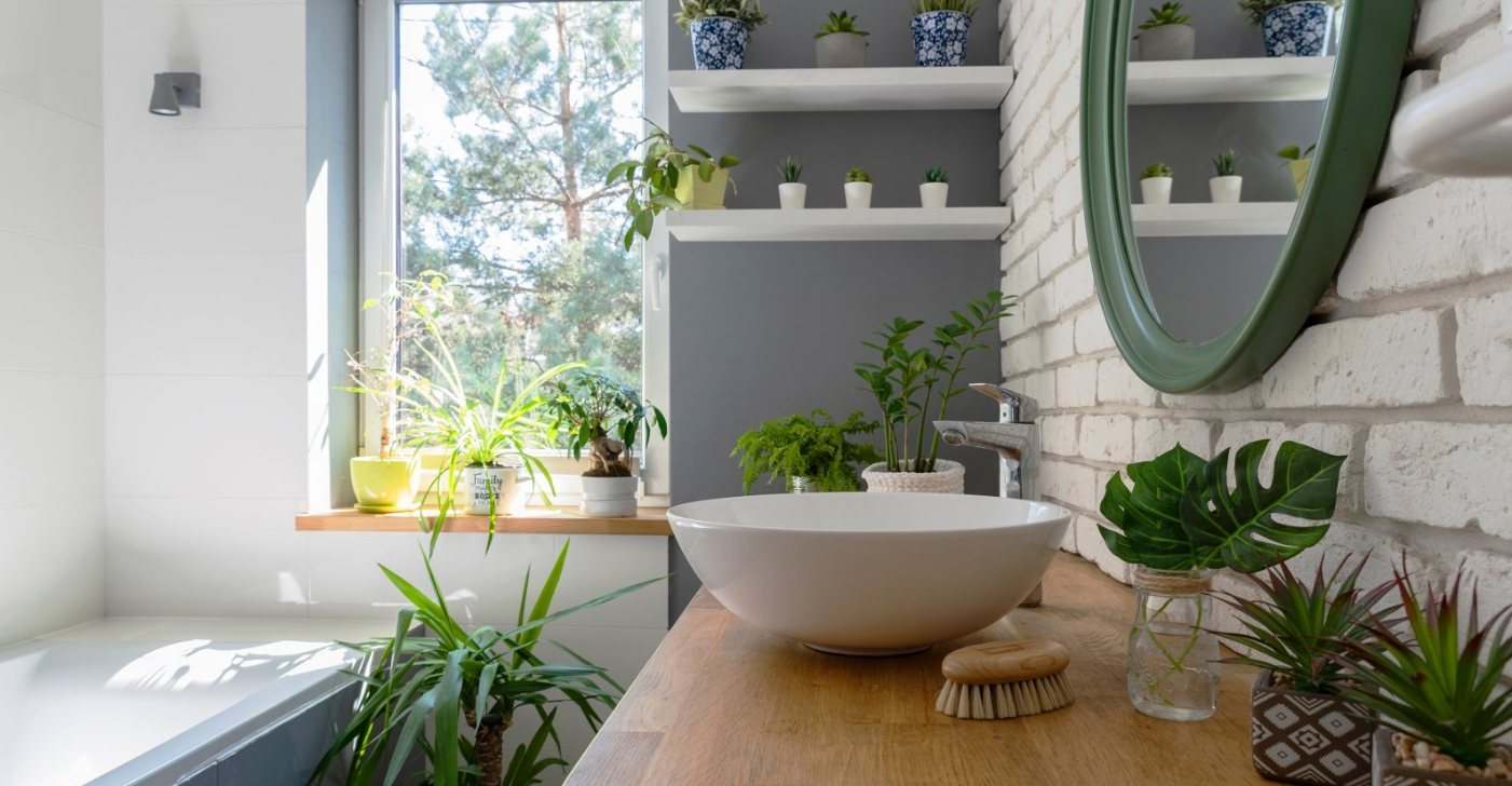 5 Of The Best Bathroom Plants
