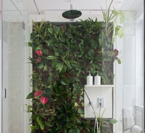 plants in the bathroom