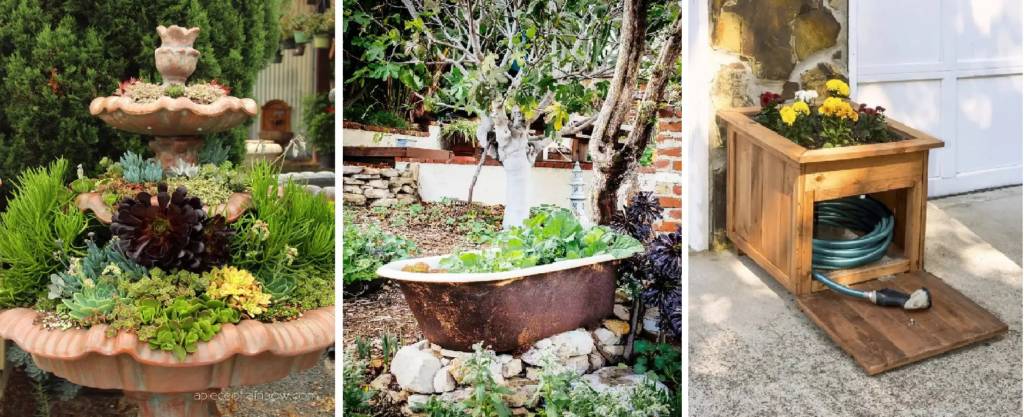 DIY backyard garden ideas